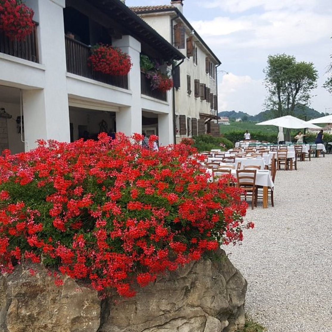 agriturismo-riva-de-milan (3)